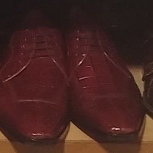 Genuine Alligator Shoes